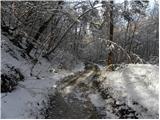 Veliko Trebeljevo - Obolno